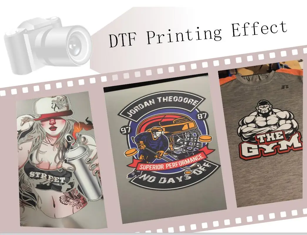 Ocinkjet Premium 250 ML Tshirt DTF  Ink For Epson PET Transfer Film Printing DX5 5113 L1800 L805 DTG Prier