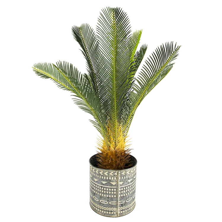 Co-Arts High Quality Wholesale Bonsai Tree Popular New Green Look Real Plastic Artificial Cycas Plant for Decoration Arboles