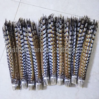 50-60 см оптовая продажа фазановых птиц рифов хвостовых перьев оптом