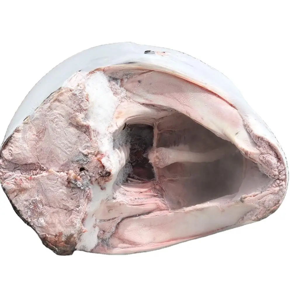 Hot Sale High quality IQF frozen swordfish for fresh seafood