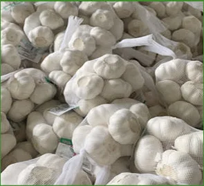 Заводская поставка свежий китайский чистый белый чеснок 6p