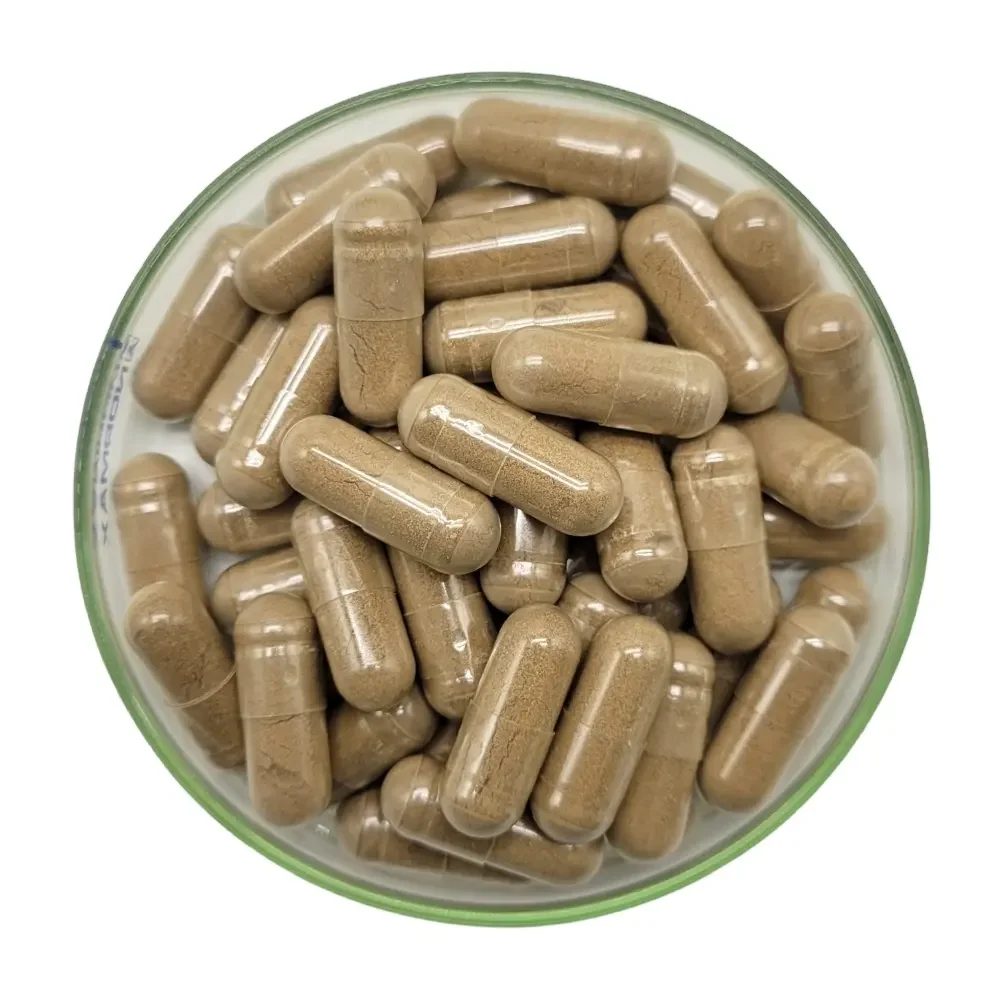 Herbal Capsule OEM Lions Mane Extract Nutritional Supplement Immune Support Mushroom Capsules  Brain Booster and Memory