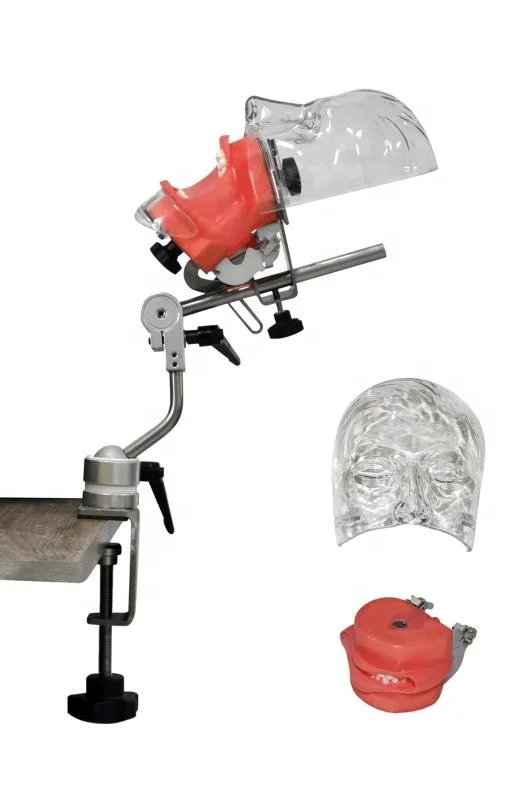 Dental Training Simulation System/Training System with Dental Phantom with Tooth Model