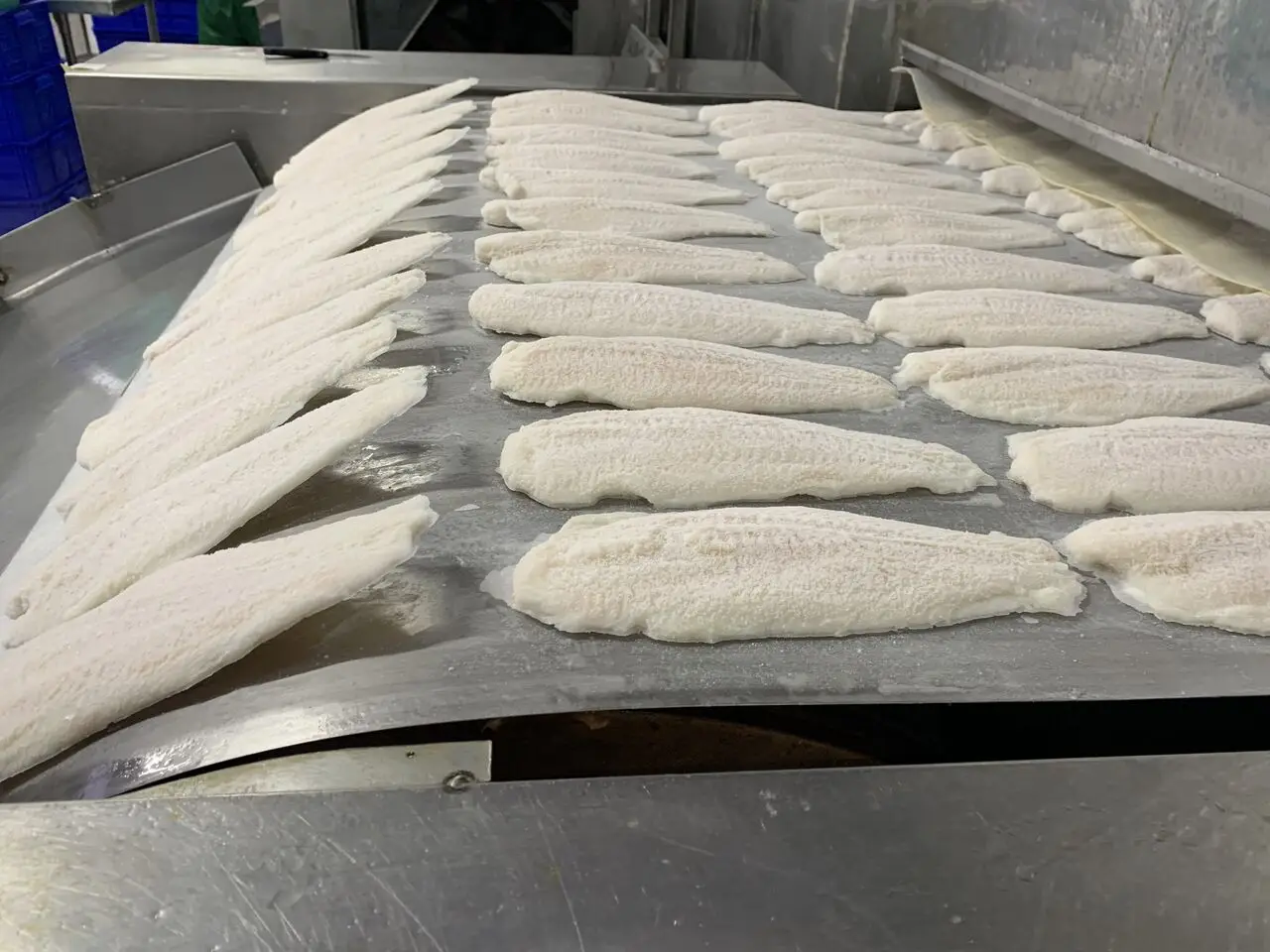 Frozen Pangasius - Hot Selling Organic Frozen Pangasius with Customized Package from Viet Nam