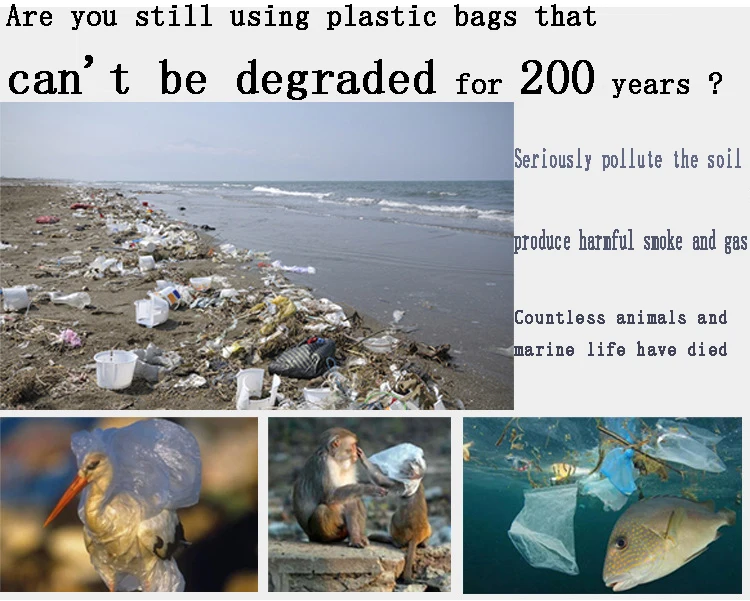 wholesale biodegradable compostable plastic trash bag   Pet toilet bag   Good load-bearing, no leakage