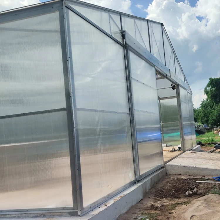 MYXL Easy Install Tunnel Farming Single-span Greenhouse 10mm Polycarbonate Greenhouses