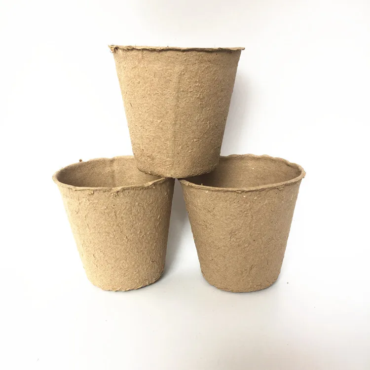 Great Standard Eco Friendly Plant Propagator Seed Trays Kit Seedling Starter Germination Cup