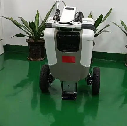 Оптовая продажа трехколесный электрический скутер новый трендовый Интеллектуальный тормоз дистанционный складной дизайн для инвалидов