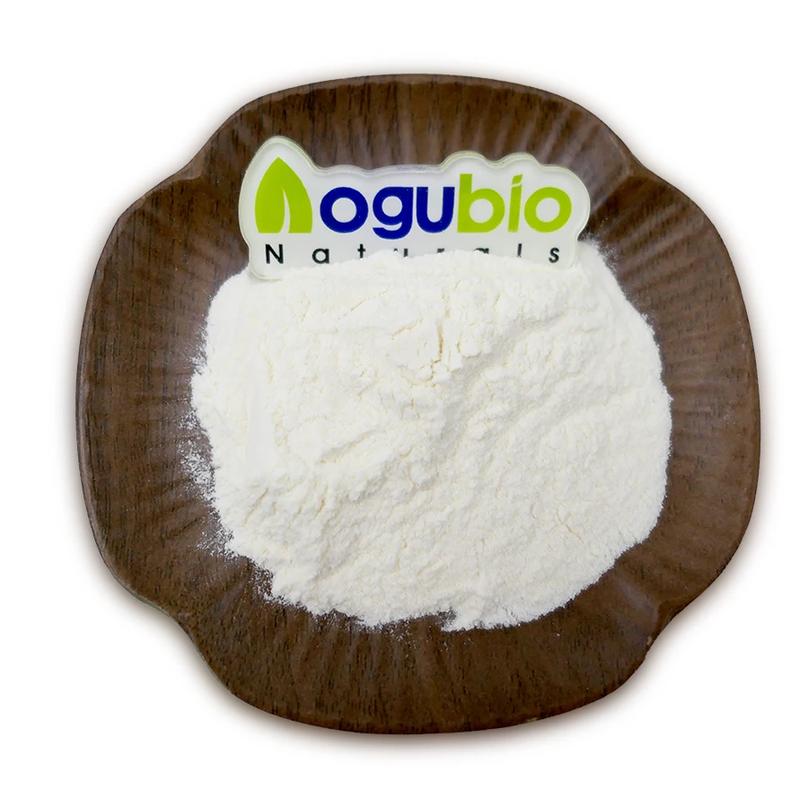 Factory Supply Alkaline protease powder high quality Alkaline protease probiotics powder Alkaline protease