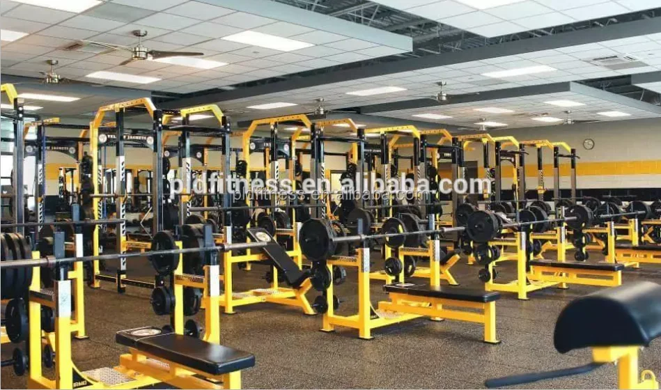 Commercial Fitness Equipment GHD roman bench glute machine