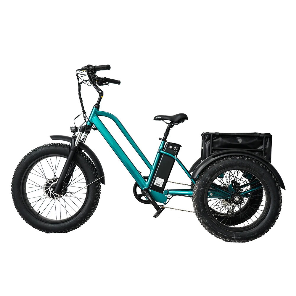 2024 Affordable New Design 3 Wheel 48V 250W 500W double battery Electric Tricycle Bike
