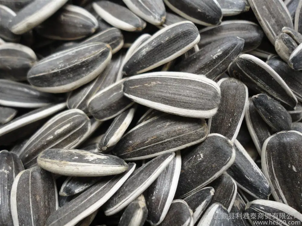 
crop 2020 Sunflower Seeds 