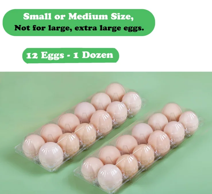 40 Pack Clear Plastic Egg Carton Holds Up to 12 Eggs - 1 Dozen, Reusable Egg Carton for Family