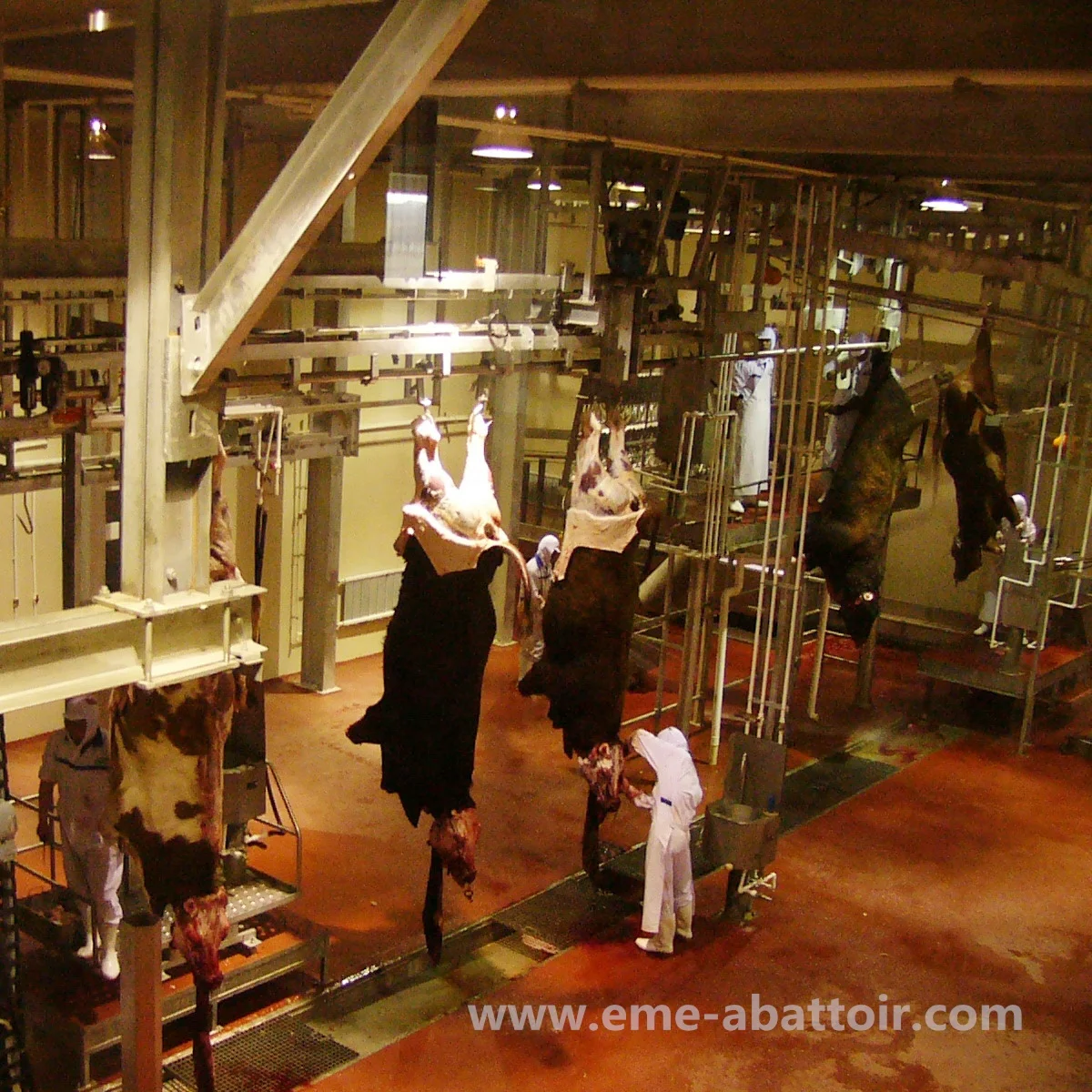 Cow Slaughter Line Abattoir Machinery for Complete Production Cattle Bovine Slaughterhouse Equipment for Sale Silver Provided