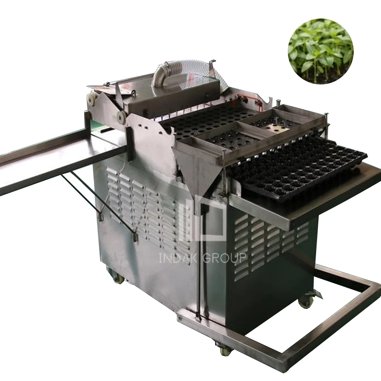 Tomato seeds tray seeding machine from Zhengzhou Rephale, China.