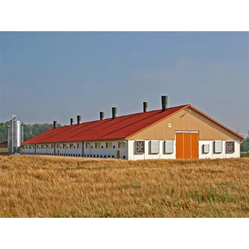 Сборная куриная ферма Современная яичный слой птицефабрика дизайн для куриной