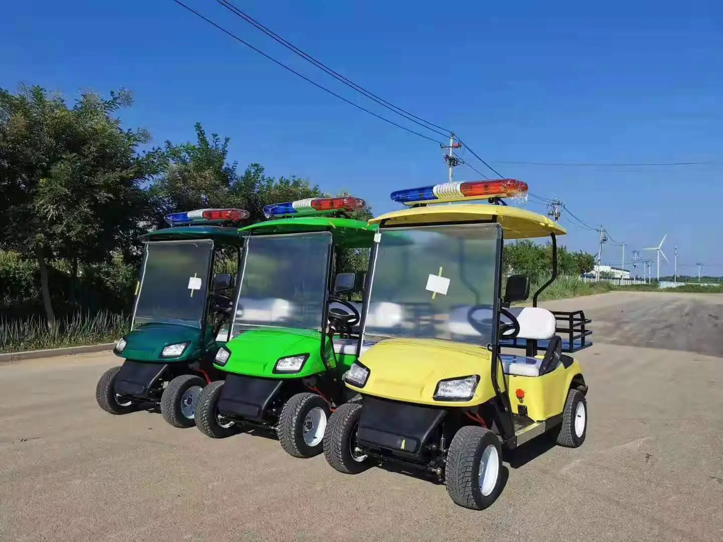 weliftrich 4 wheels 2 seats seated electric Golf Push Pull Cart Golf Trolley germany golf trolley for outdoor