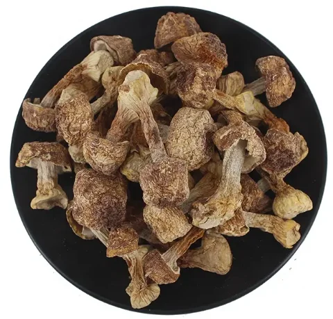 Оптовая цена Agaricus Blazei Murill сушеный гриб Murrill