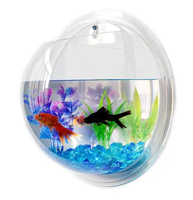 Mini Home Decor Office Decoration Transparent Acrylic Hanging Wall Aquarium
