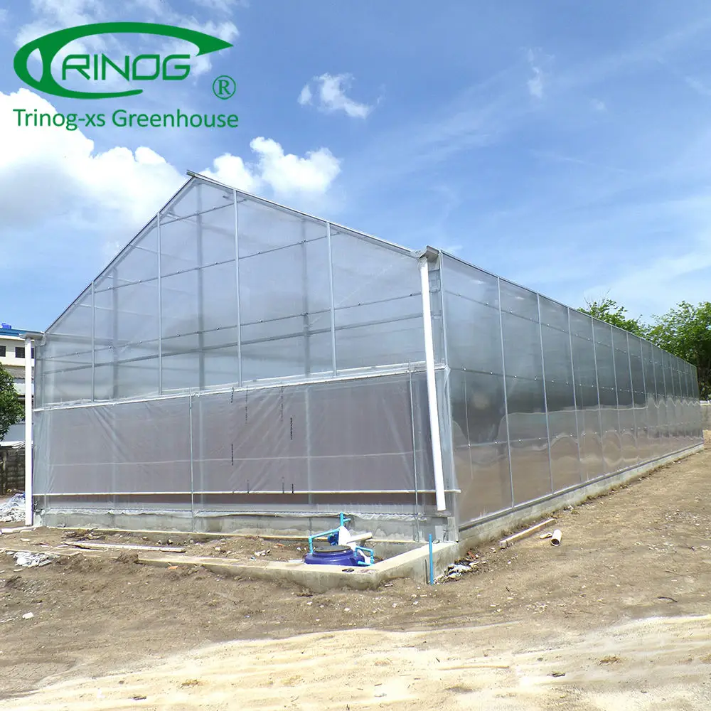 Complete polycarbonate agricultural greenhouse turnkey project with quick construction