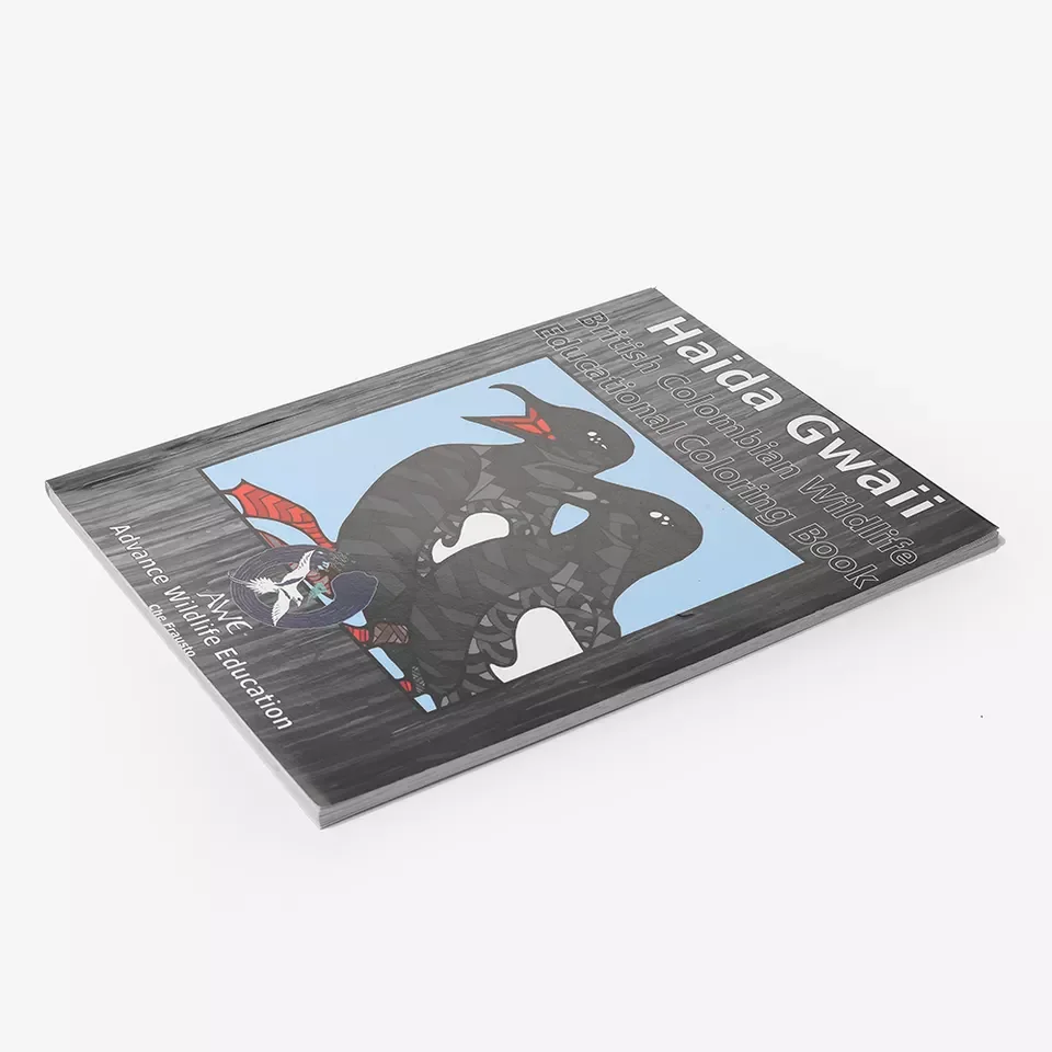 Custom Printing Children Books school book Printing Best quality A4 magazine printing with perfect binding play toy magazine