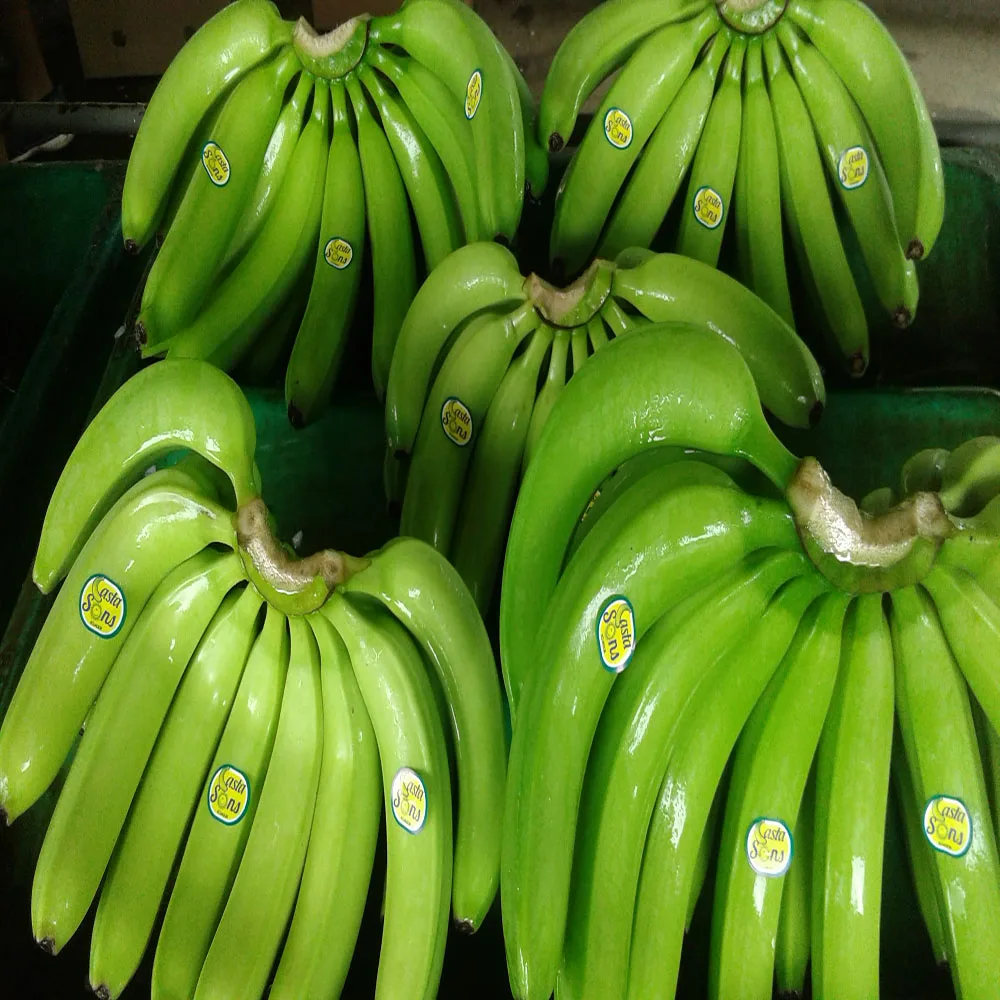 
FRESH BANANAS 