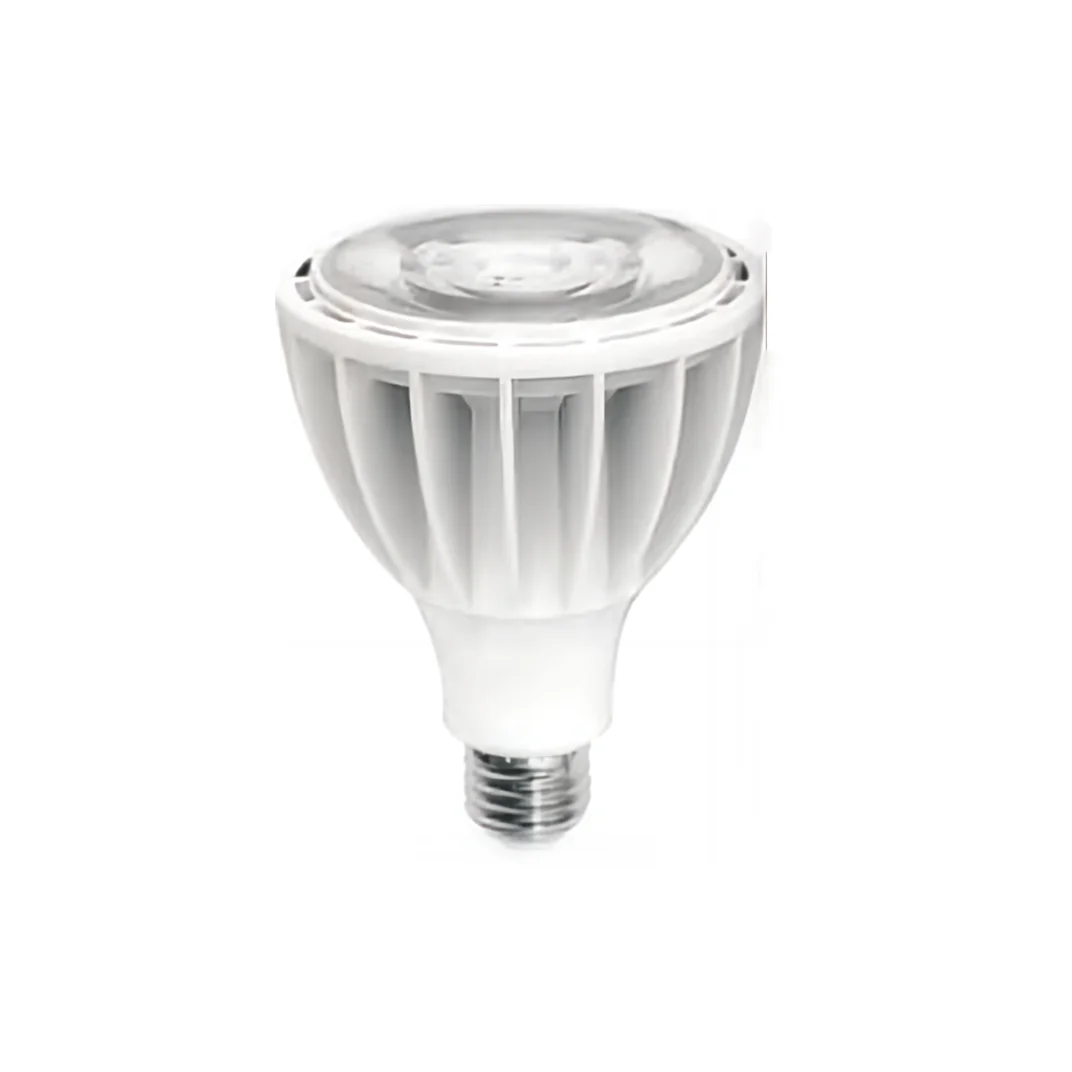 Aluminum Led Light Source E27 Base 30W 40W PAR30 Lamp Spotlight