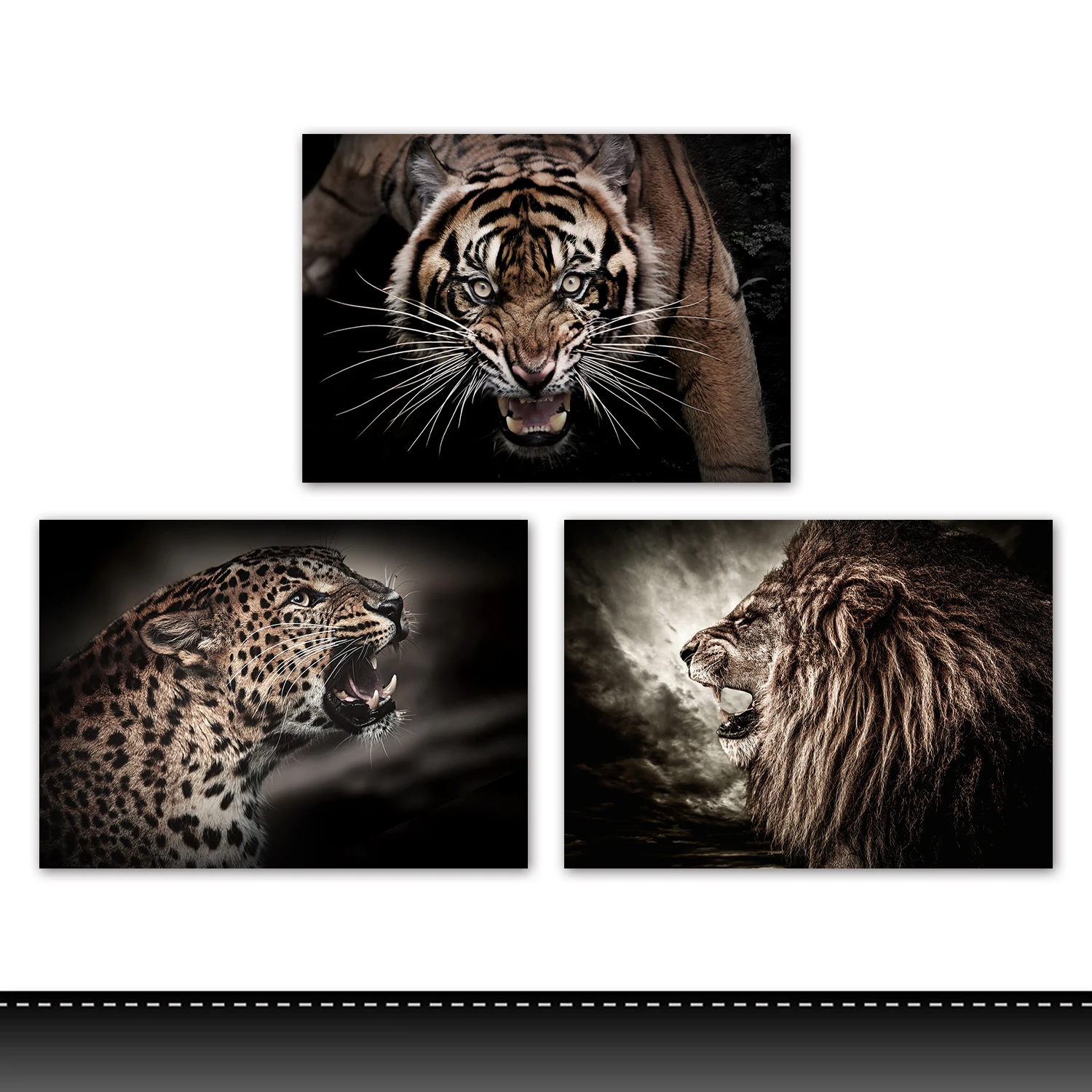 Modern Wild Animals  With Frame Canvas Picture Decorative  Painting