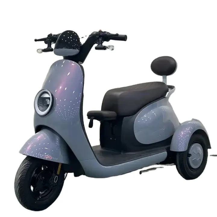48V 800W  Electric Tricycle for Adults Manned Electric Tricycles with Open Body 3-Wheel Electric Vehicle