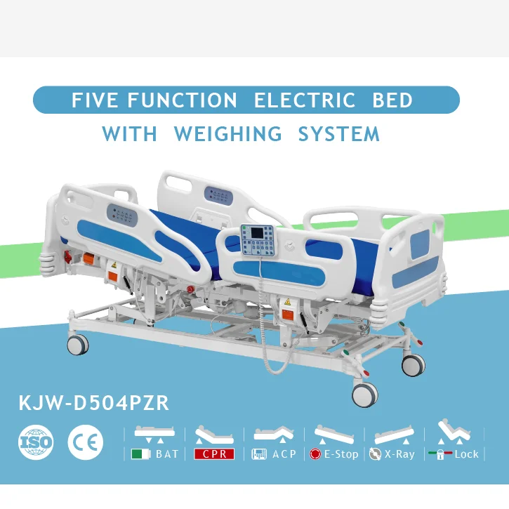 Professional Manufacture Cheap Price Wholesale Multi Function Elderly Electric Paralysis Patient Bed