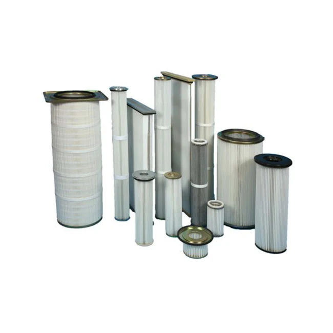 1C027106 P-SMF O 4/2 UF PLUG Viton BAM Industry Air Filter Element SS304 With Housing