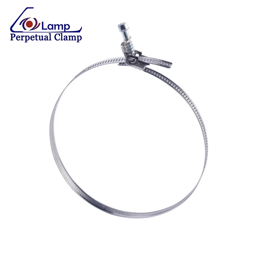 430 Stainless Steel Hose Clamp in Roll