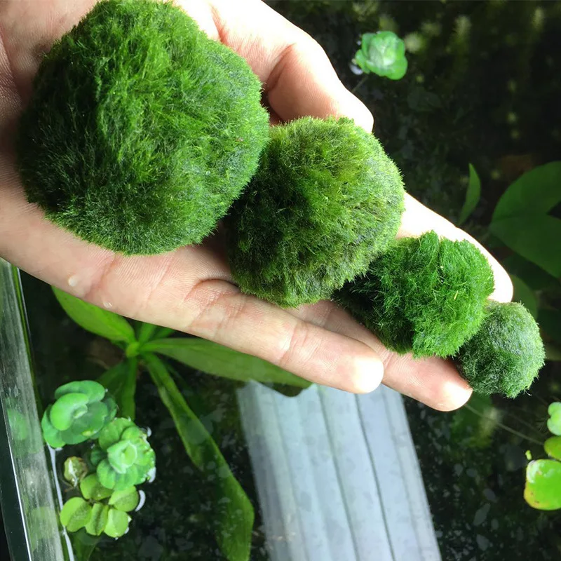 Green Artificial Moss Rocks Decorative Moss Balls Fish Tank Aquarium Decorations