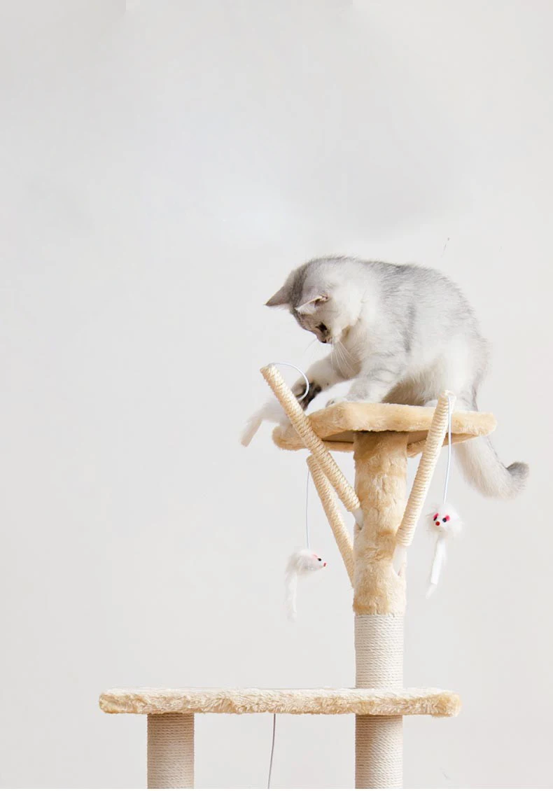 Kin Pet 2024 New Arrival Wooden Cat Wall Shelf Set for Space-Saving and Stylish Home Decoration for Indoor Playing