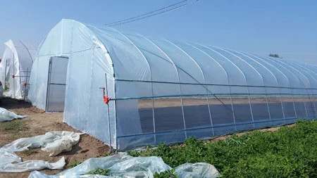 200 micron plastic greenhouse covering film tunnel greenhouse single  span greenhouse