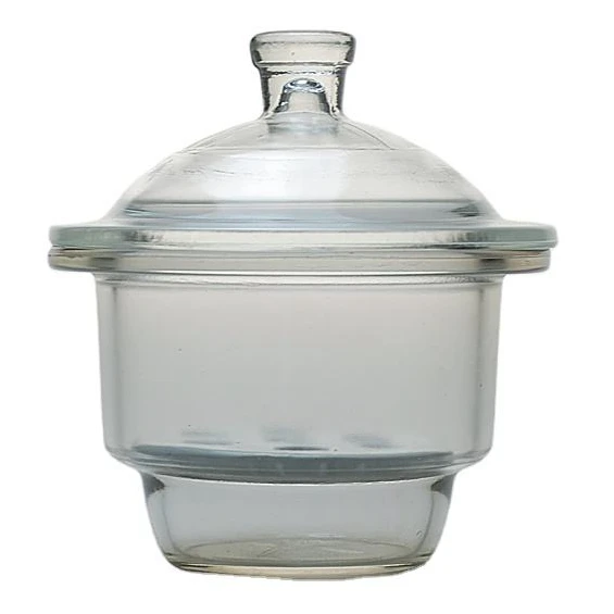 Custom Factory Direct Multiple Sizes Durable Clear Glass Specimen Jar