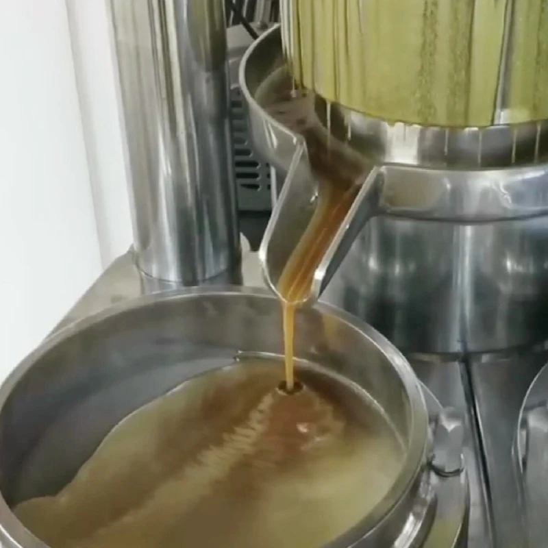 Oil Press for Sale in Morocco Hemp Seed Oil Press Machine Cold Press Oil Extraction Machine