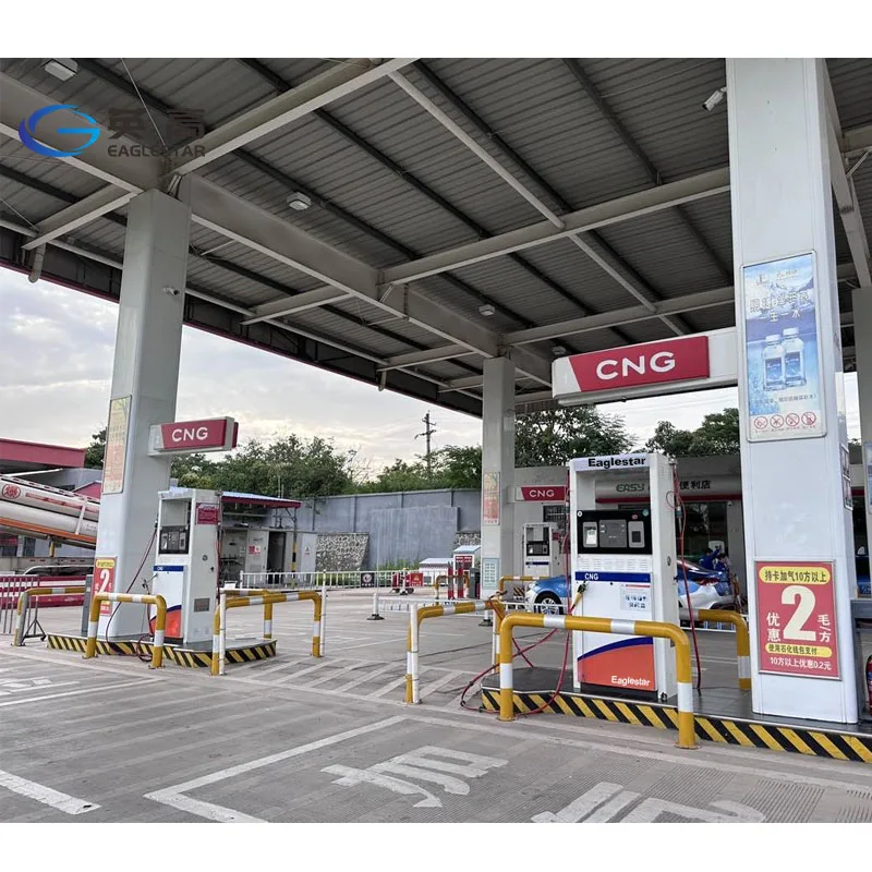 Cng Filling Machine Compressed Natural Gas Dispenser Cng Dispenser For Gas Station