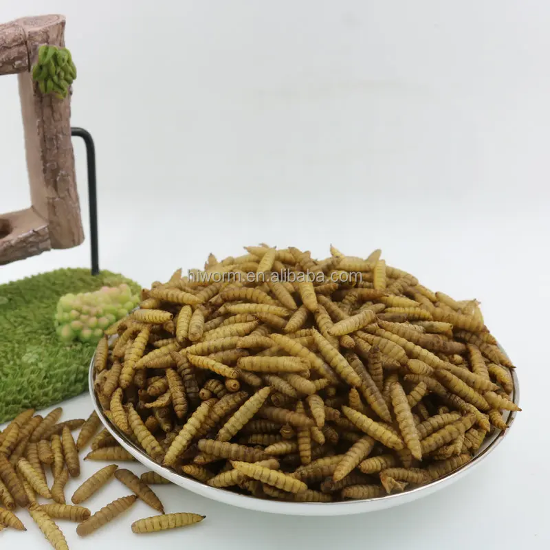 Без добавок 10 фунтов сушеные черные личинки солдатской мухи BSF для курицы с индивидуальной торговой маркой