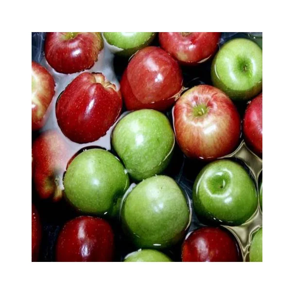 High quality nutritious sweet crispy juicy price fresh apple fruit