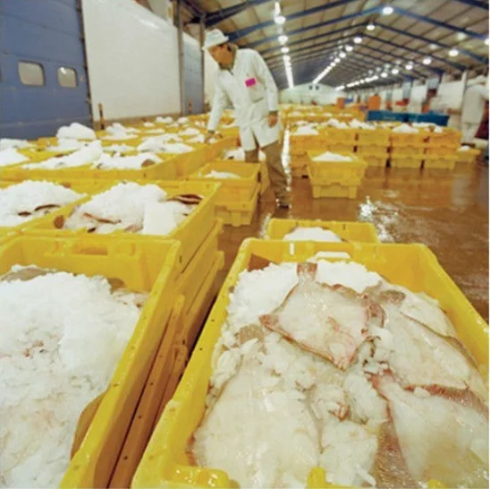 New design industrial 10 tons flake ice machine 10000kg/day flake ice plant good price