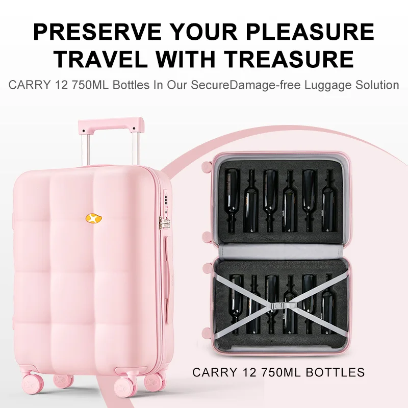 Hot sale Wine Connoisseurs 24 inch Protective Transport 10 Bottles 750ml Wine Suitcase 100% PC Trolley Luggage for Travel