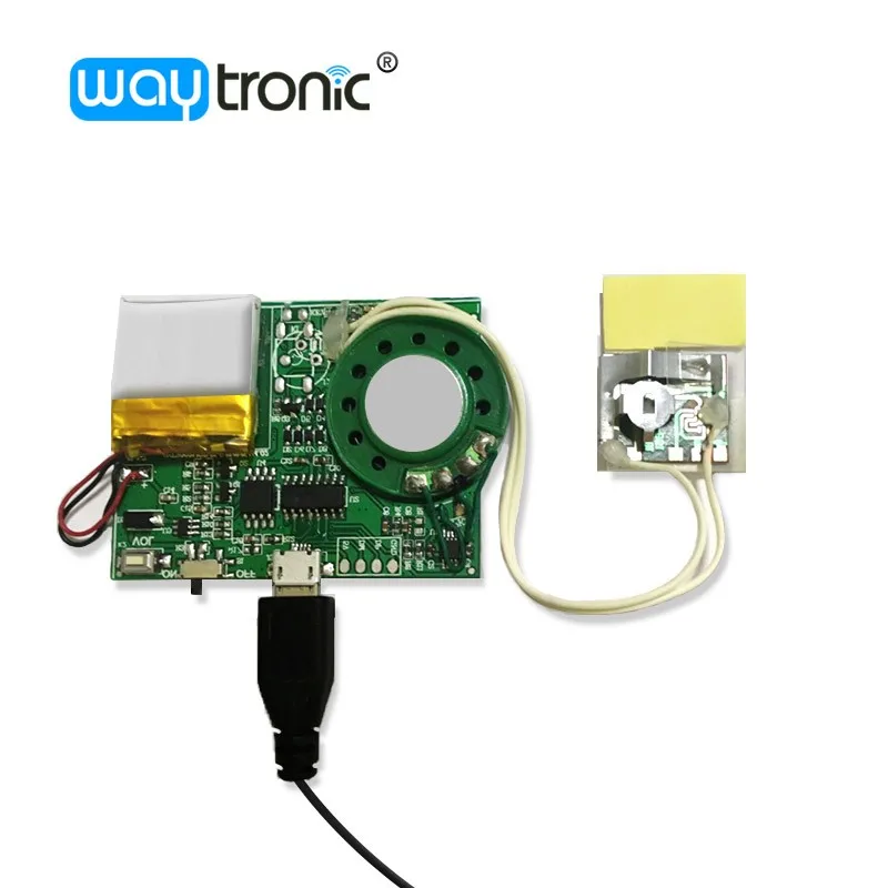 Waytronic Wholesale Customized Sound Chips Recordable Sound Module for Toys