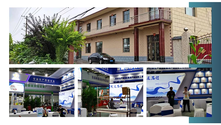 Automatic poultry nipple drinker with clip ball valve broiler nipples