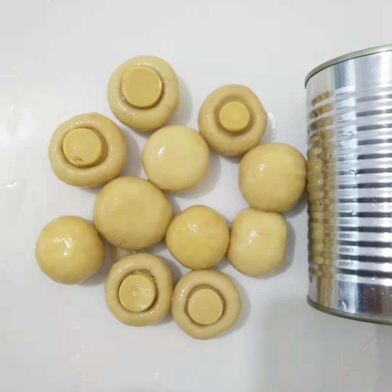 2021 quality canned mushroom