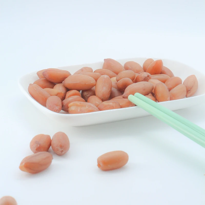 Hot sale turkish snacks foods wholesale new package roasted peanut