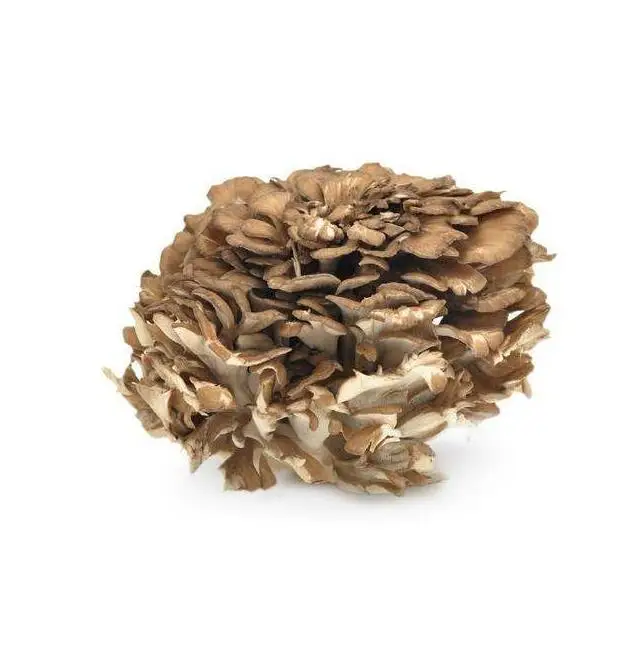 
High Quality Maitake Mushroom Extract Polysaccharides 10%~50% Powder 