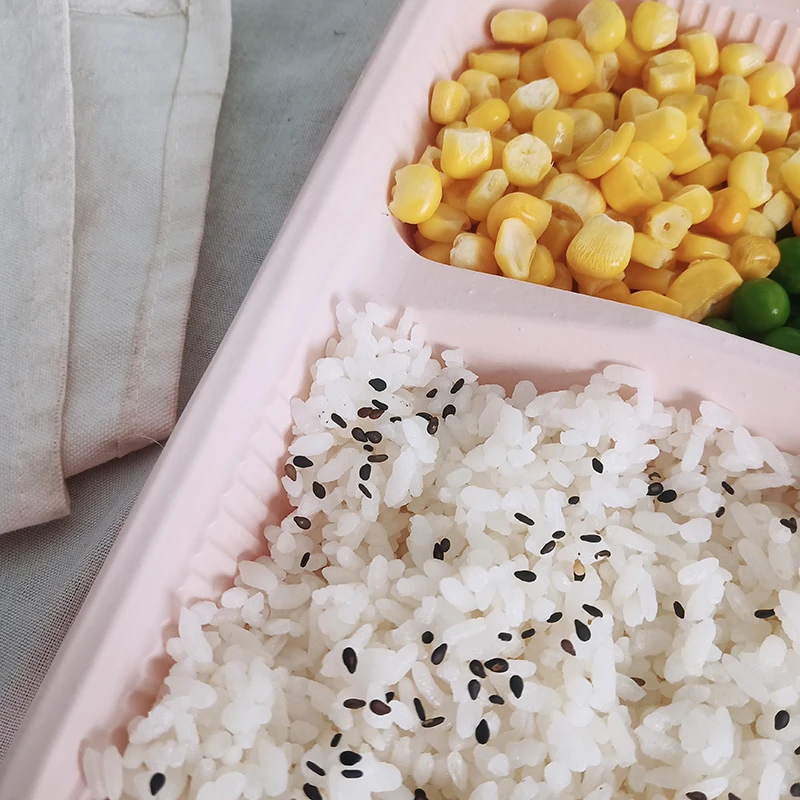 
New design food container takeaway microwavable bento disposable lunch box made in China 