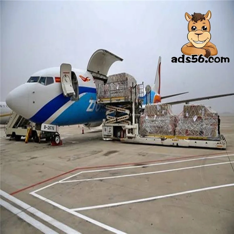 sea shipping for free shipping goods to Nassau  LCL sea shipping forwarding-- wechat 86 15271797980