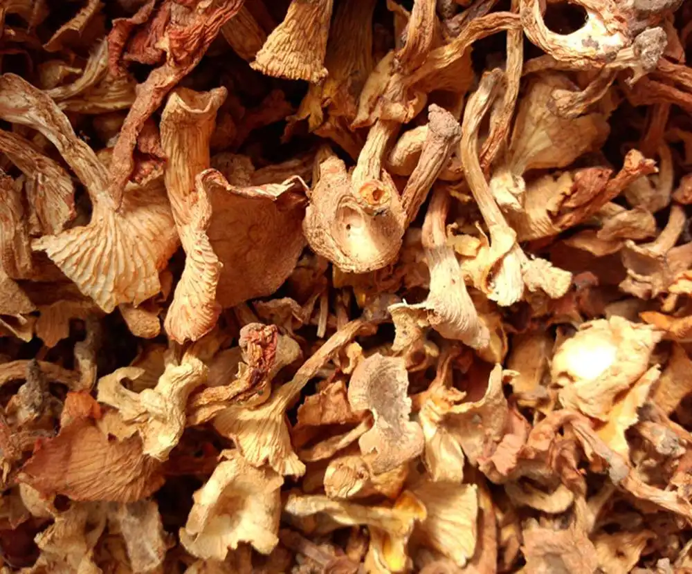 Dried wild chanterelle mushrooms Cantharellus Cibarius